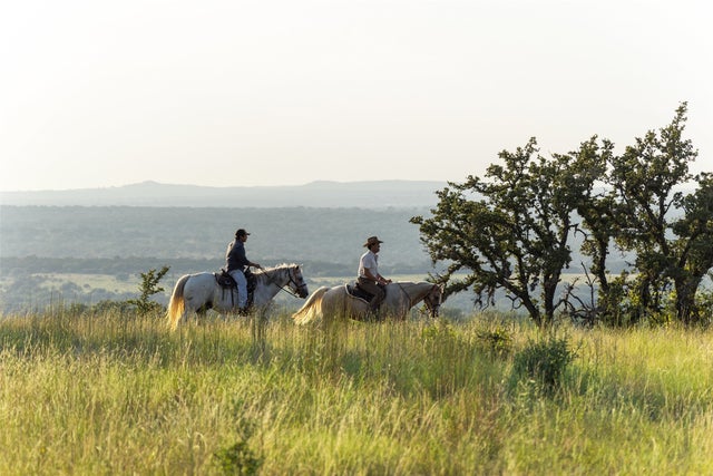 8577 Ranch Road 2766, Johnson City