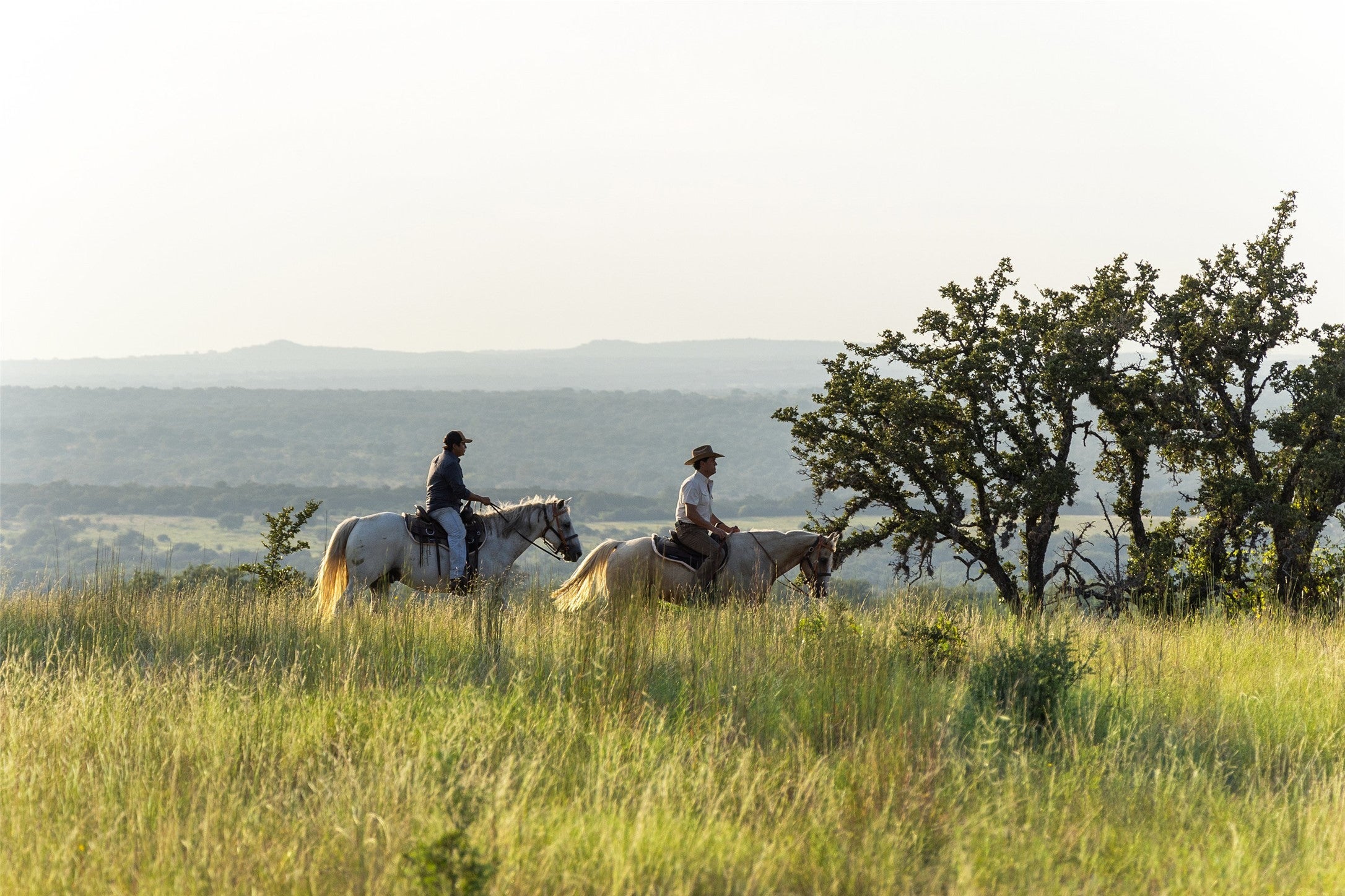 Photo of Listing #1561751