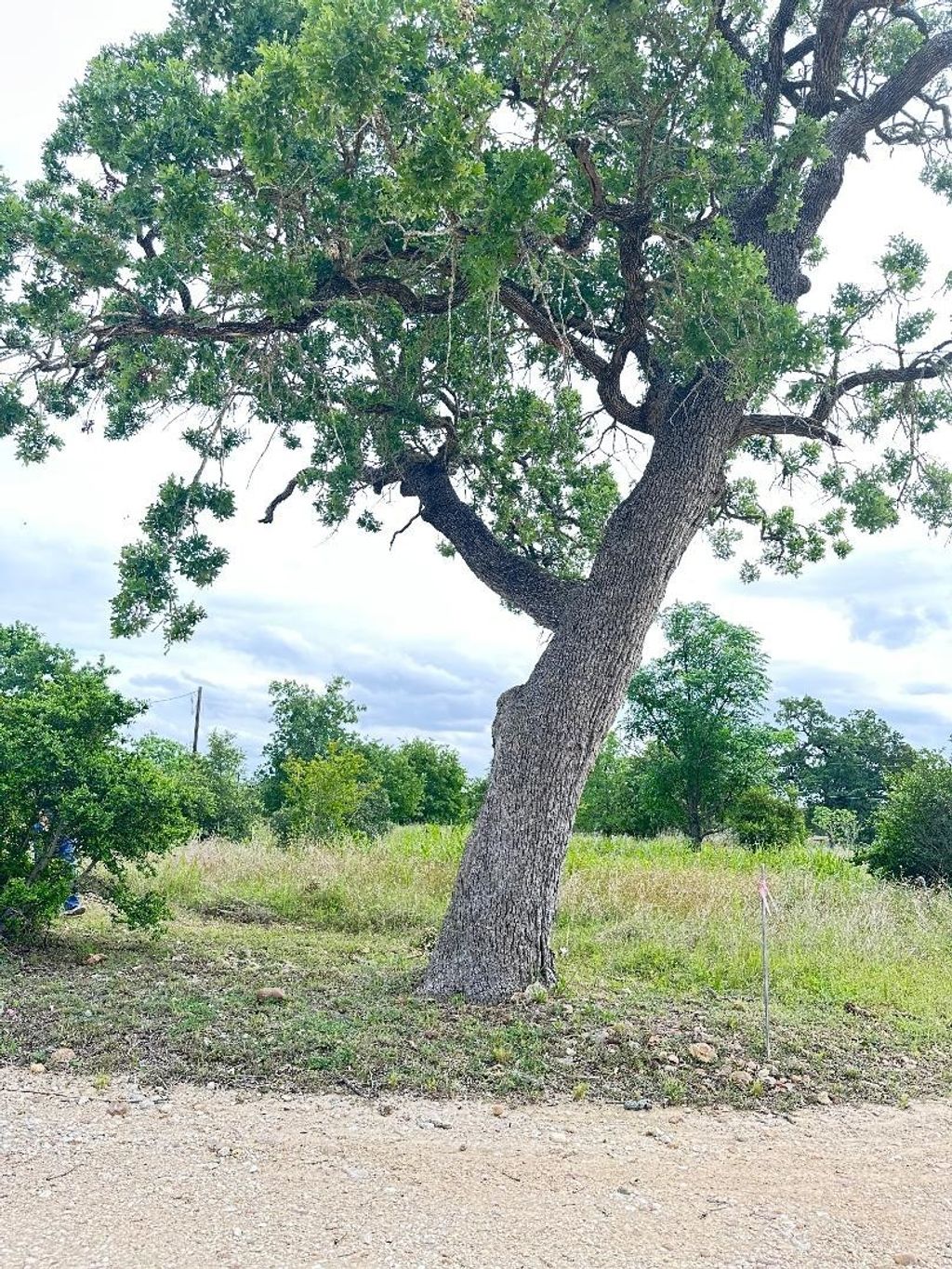 136 Wild Bird Loop, Smithville