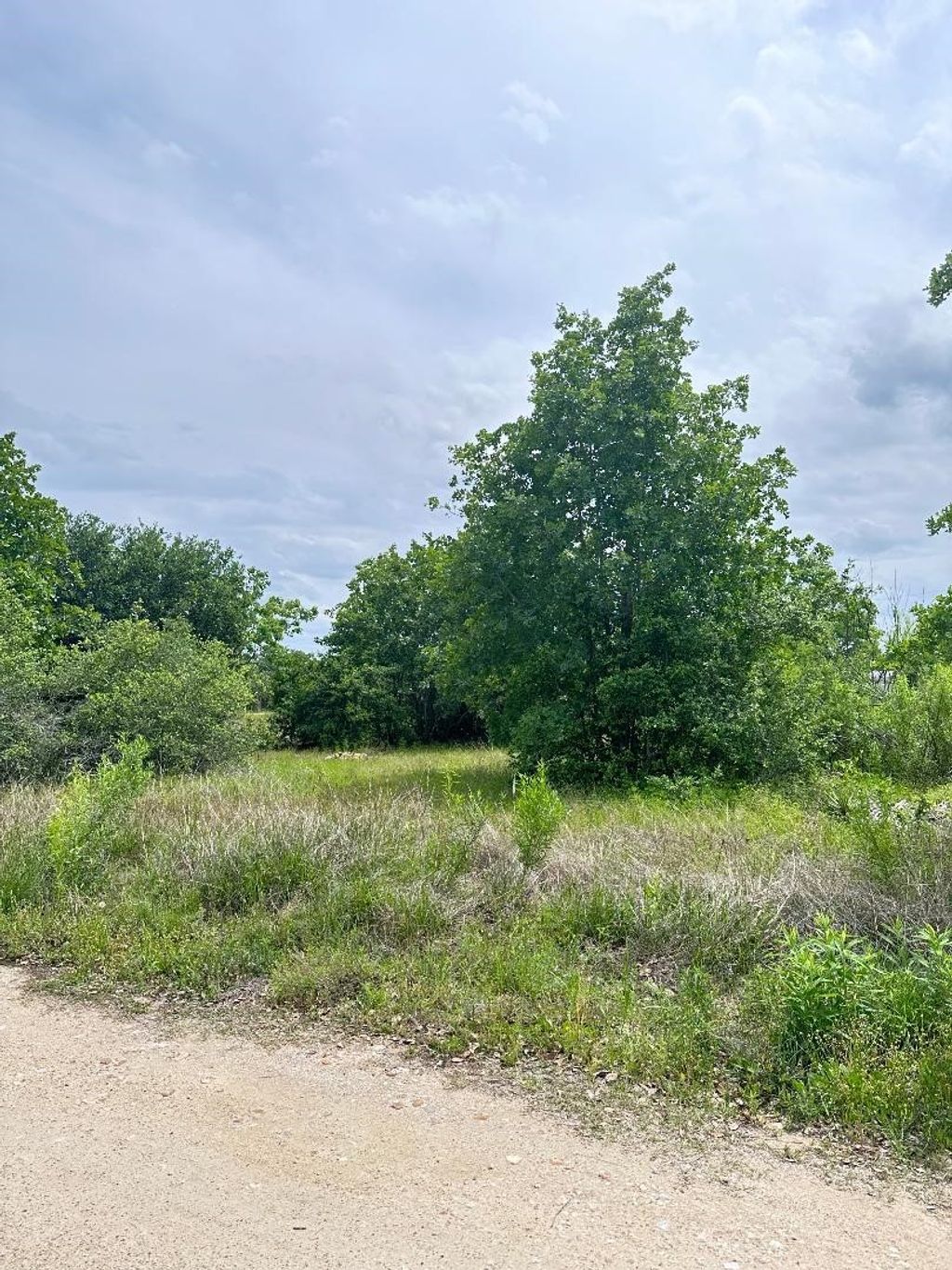 138 Wild Bird Loop, Smithville