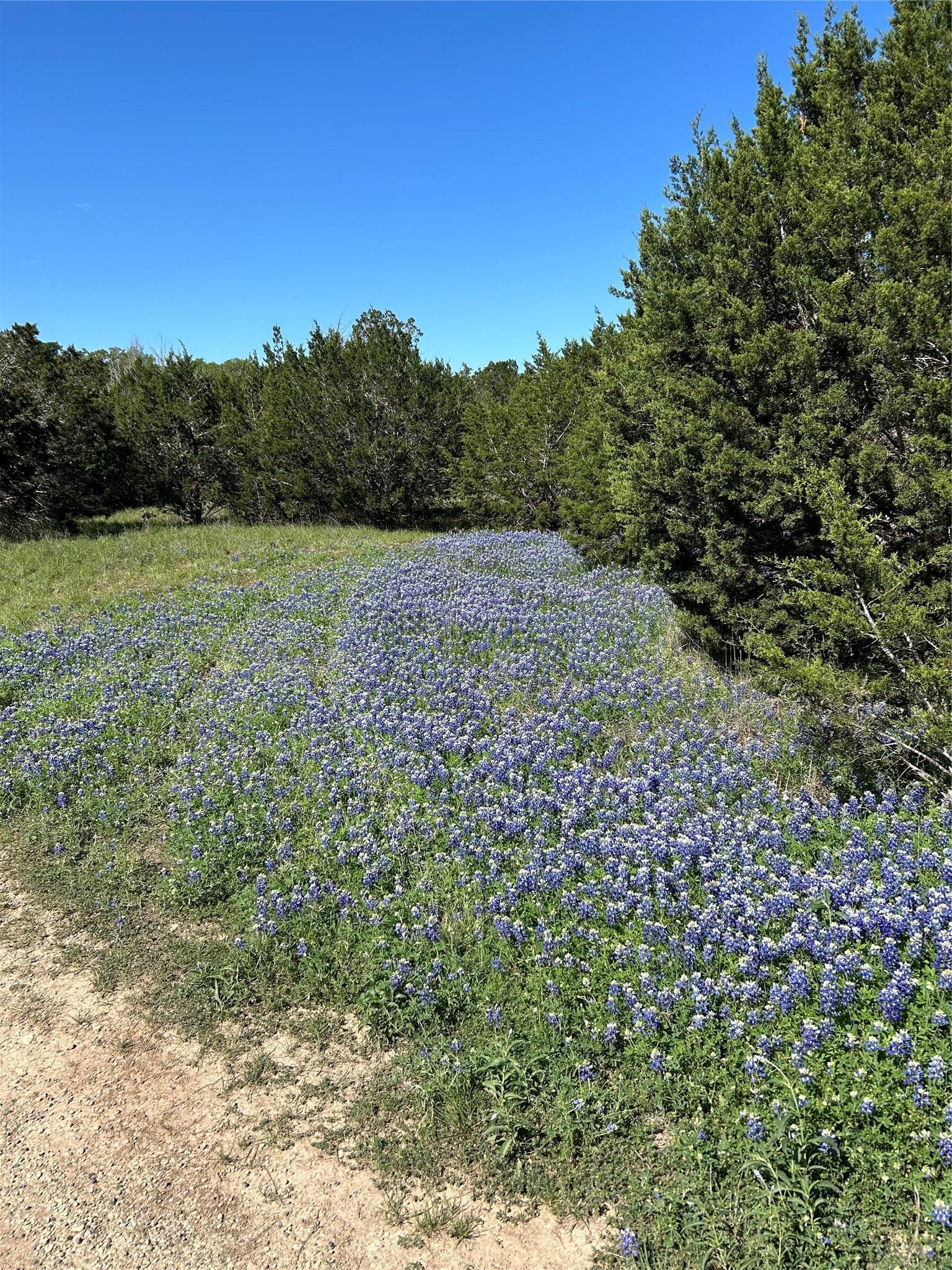 Photo of Listing #2378404