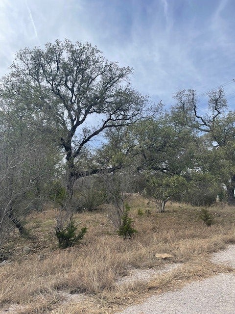 Photo of Listing #9162624