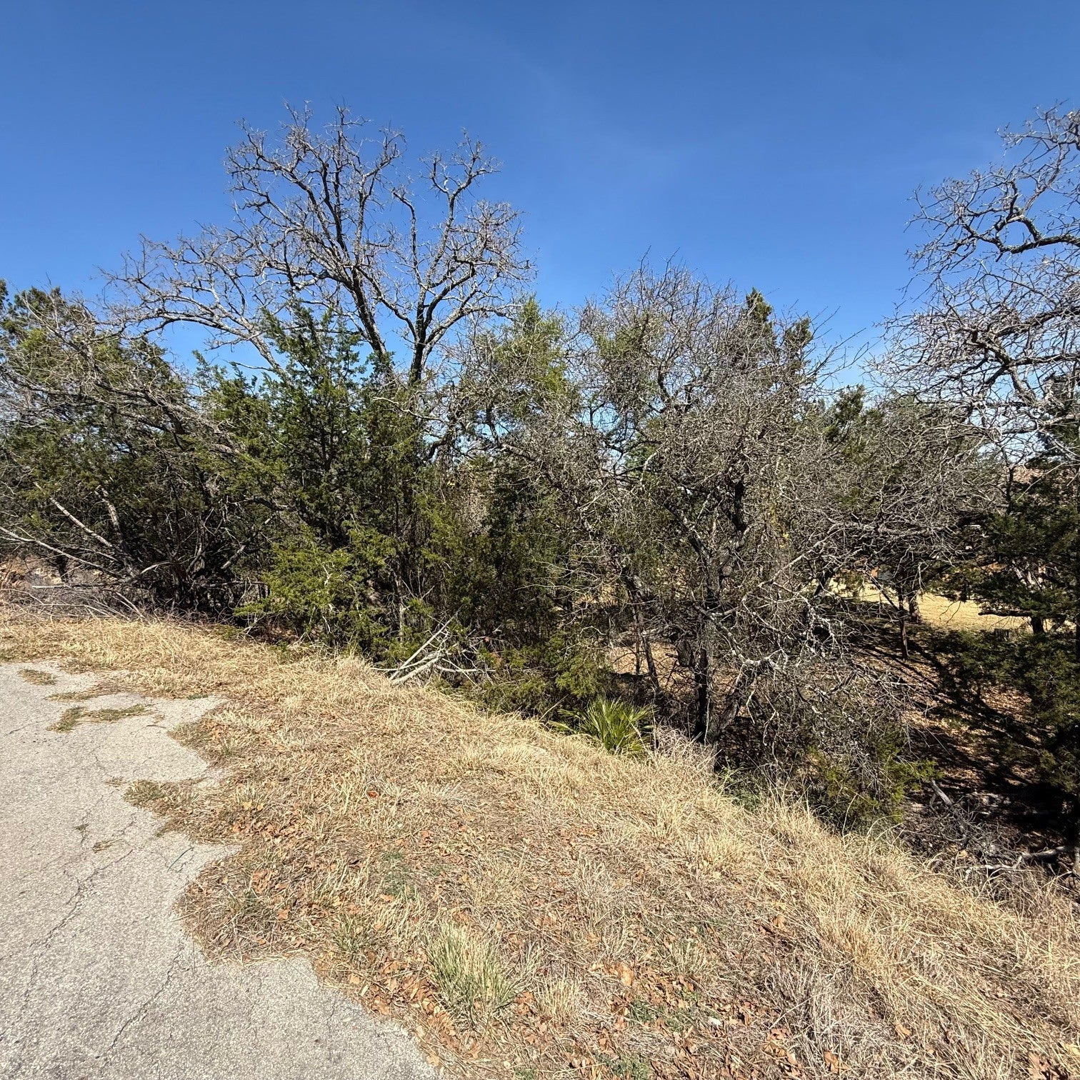 Photo of Listing #4058510