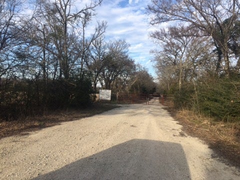 Photo of Listing #4334446