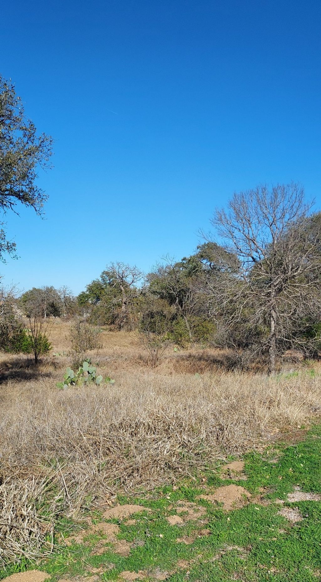 Lot 50 Pristine Pass, Buchanan Dam