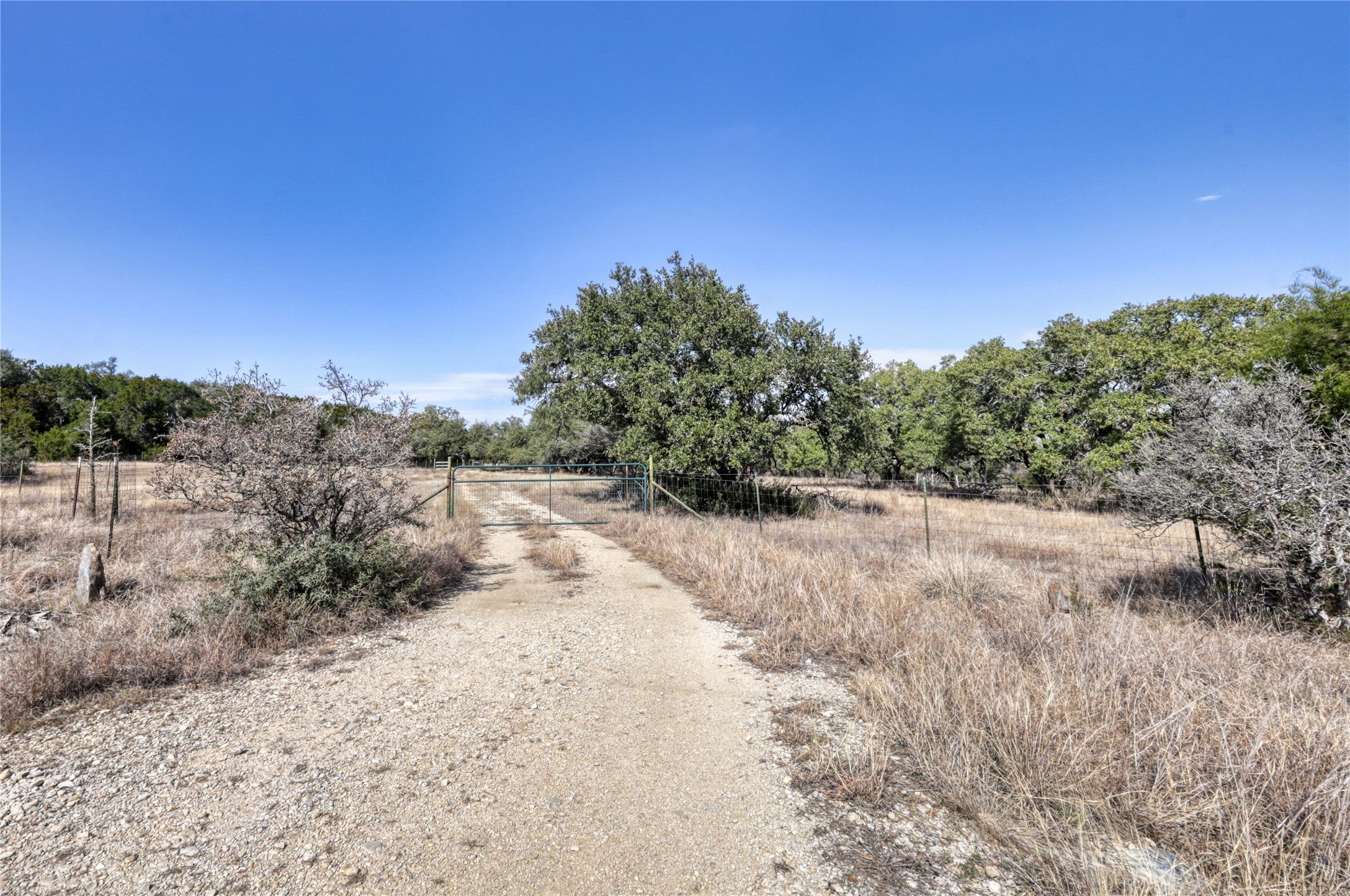 Photo of Listing #3004040