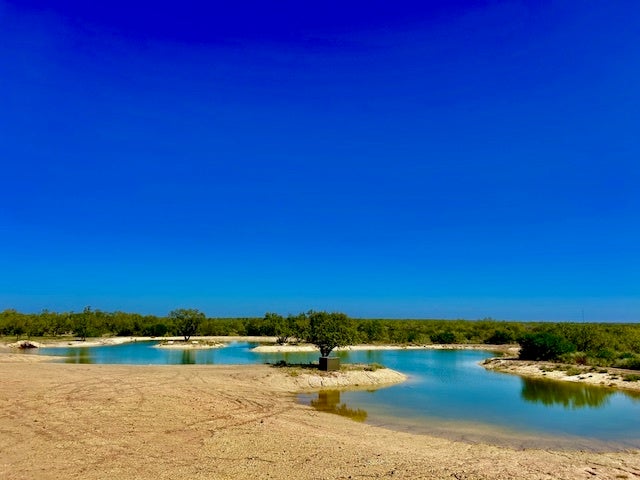 Photo of Listing #4876130