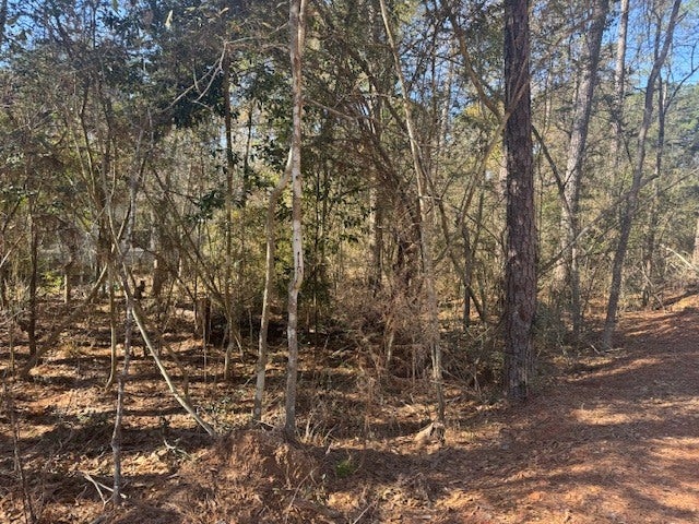 Photo of Listing #1666496