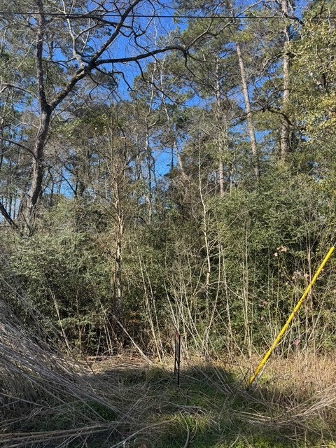 Photo of Listing #6612595