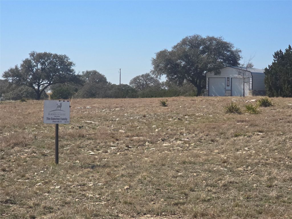 230 Bush Bok Drive, Burnet