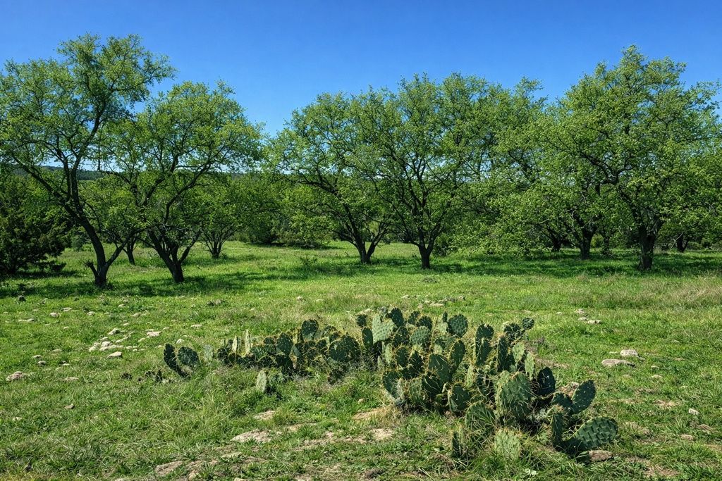 Tbd View Circle, Lampasas