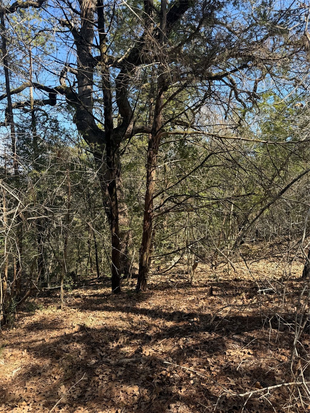 Lot 321 Keneka Lane, Bastrop