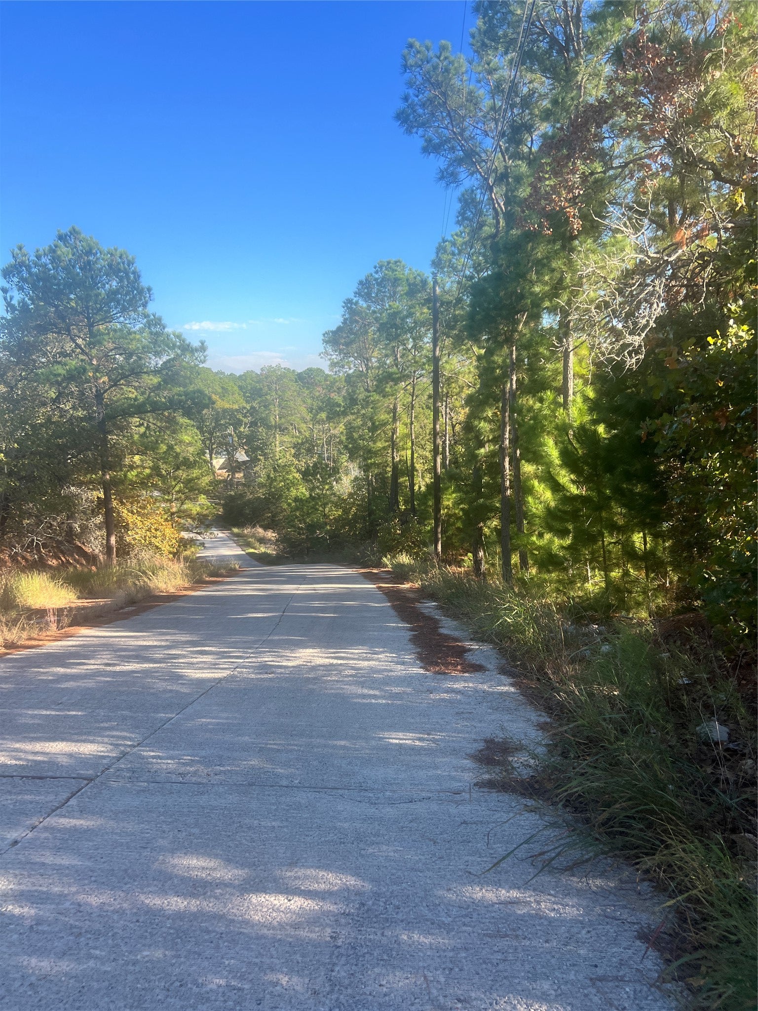 Photo of Listing #5850420