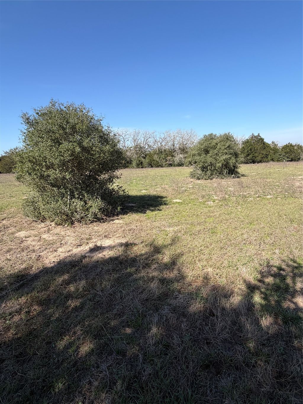 Tbd Cedar Rock Road, Rosanky