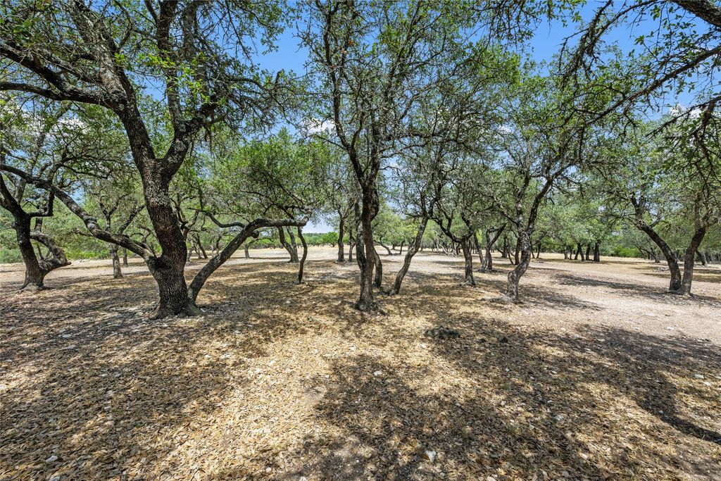 0000 South Oak Forest Drive, Dripping Springs