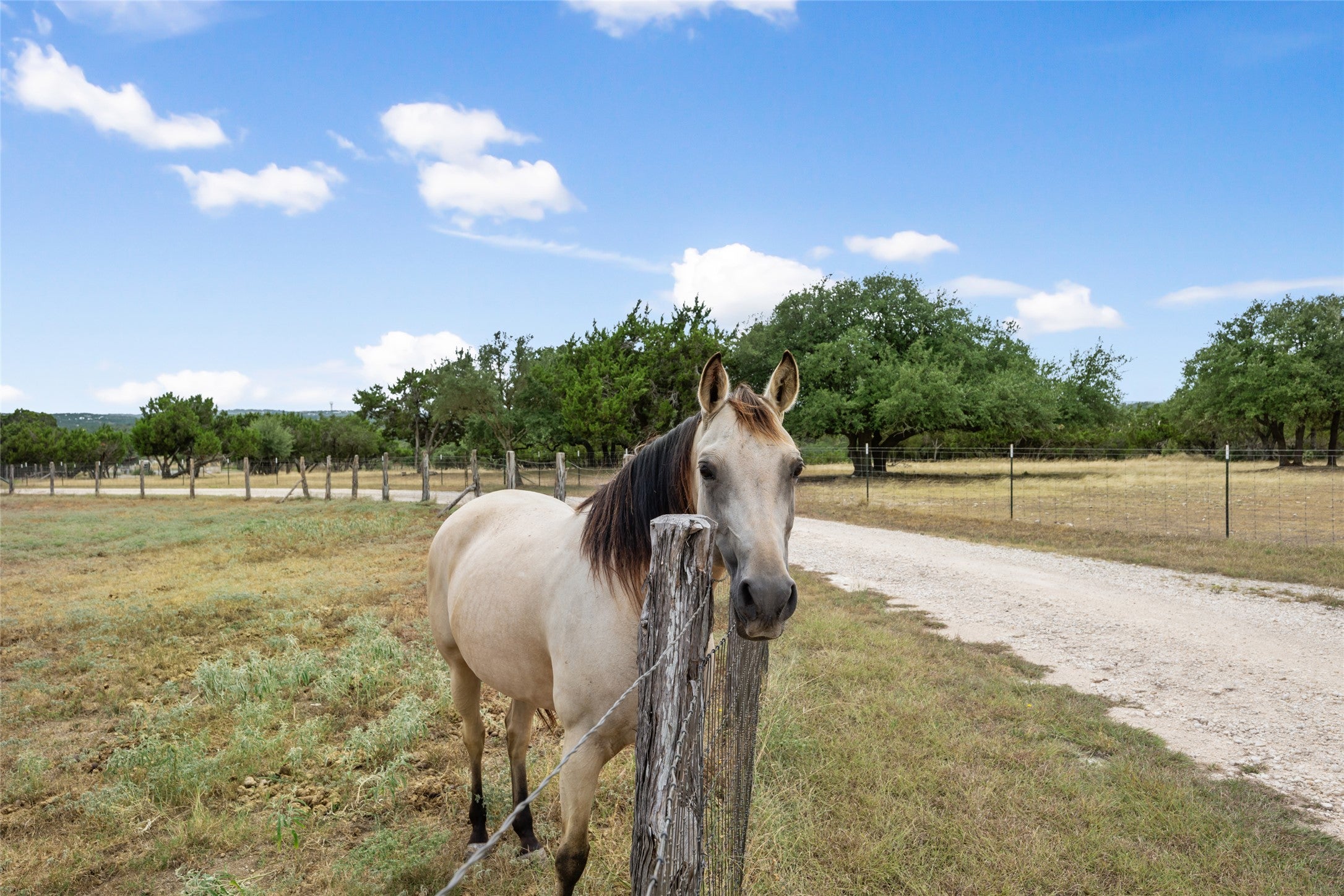 Photo of Listing #7711543