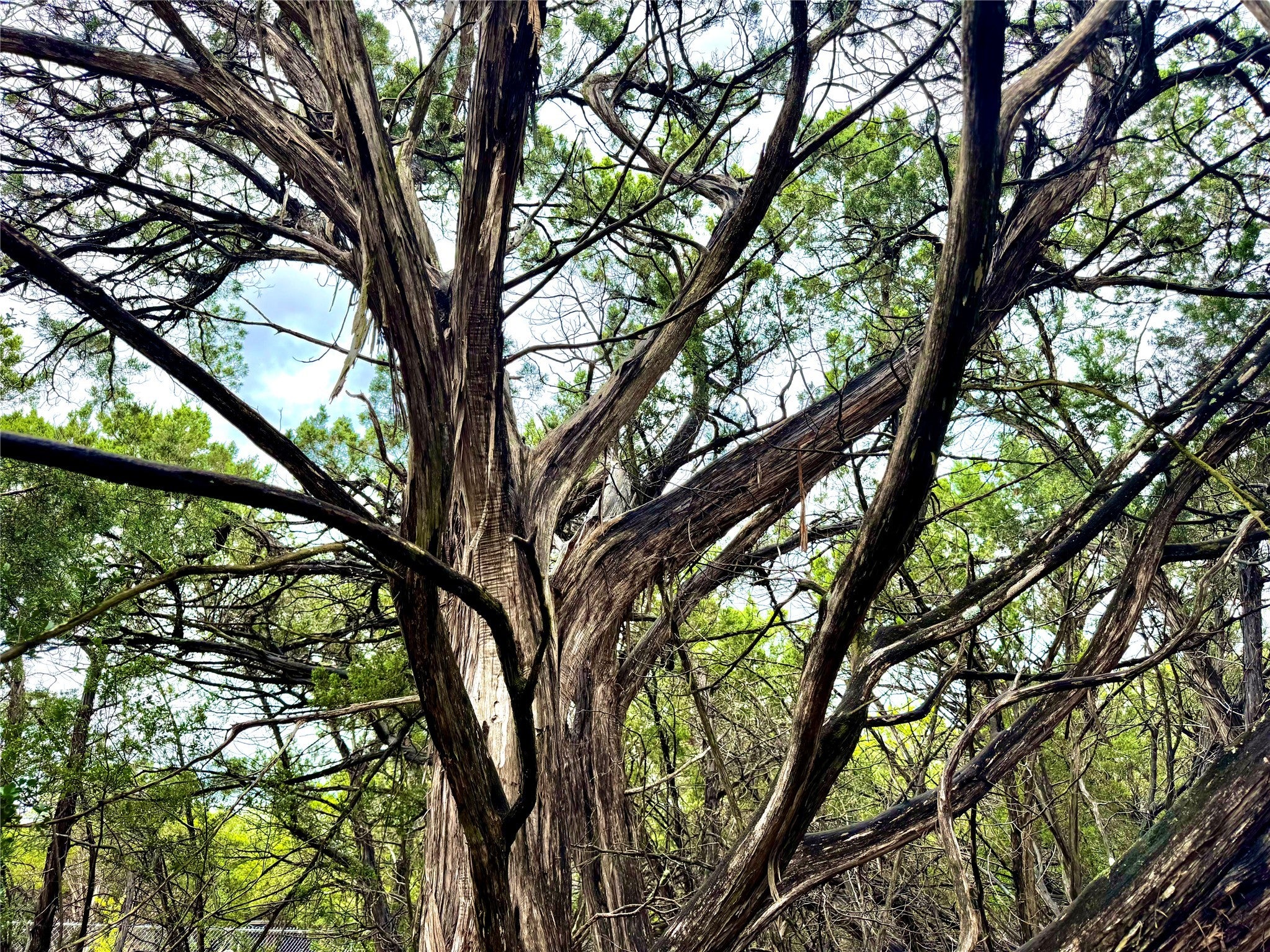 Photo of Listing #5609414