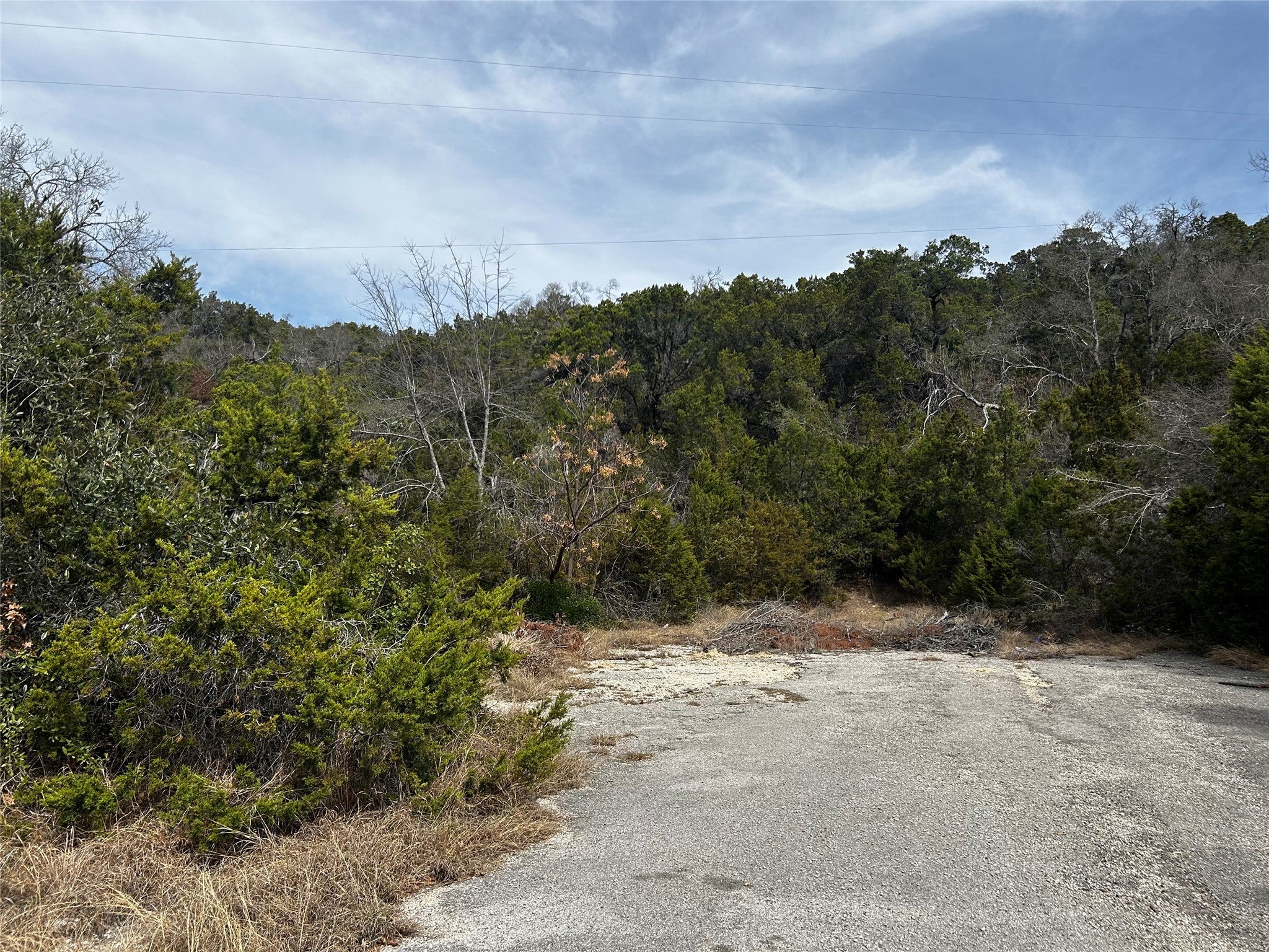 Photo of Listing #3352391