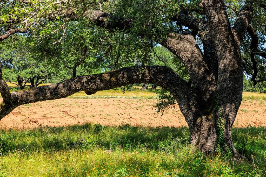 Photo of Listing #5101836