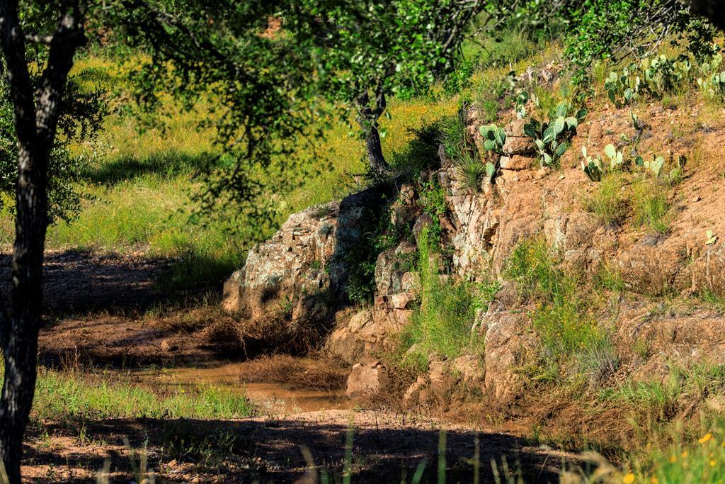 Photo of Listing #1664505