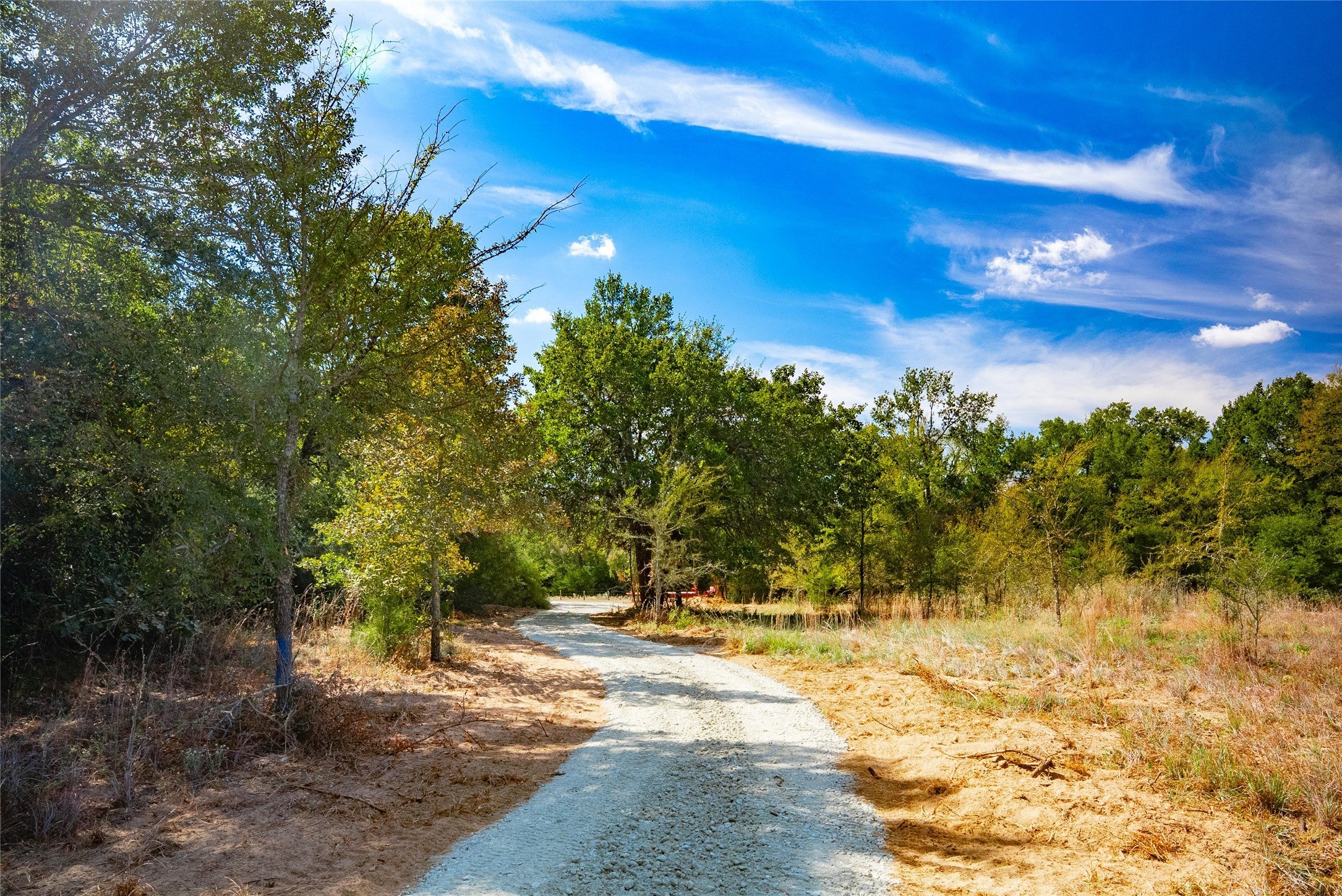 Photo of Listing #3629517