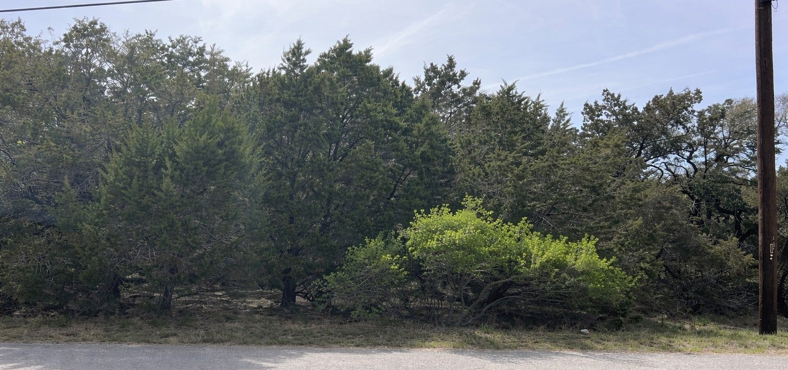 Photo of Listing #8475200