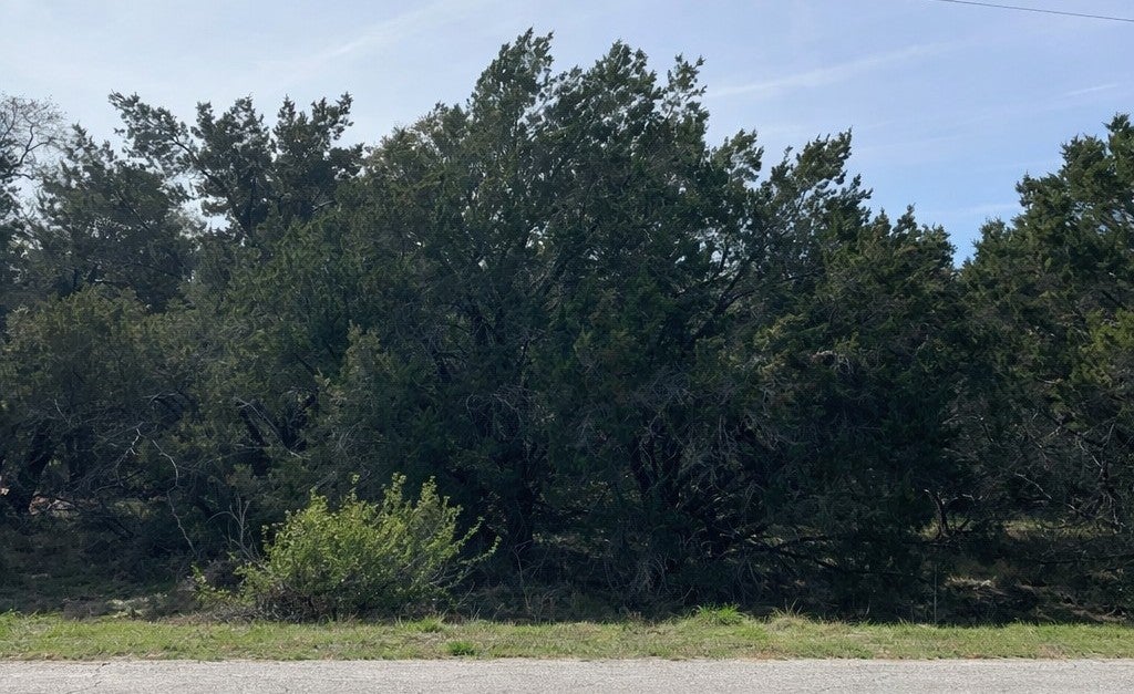 Photo of Listing #4316919