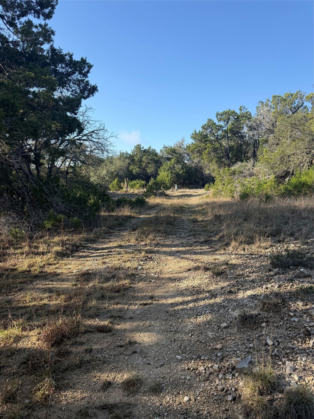 3600 Stagecoach Ranch Loop, Dripping Springs