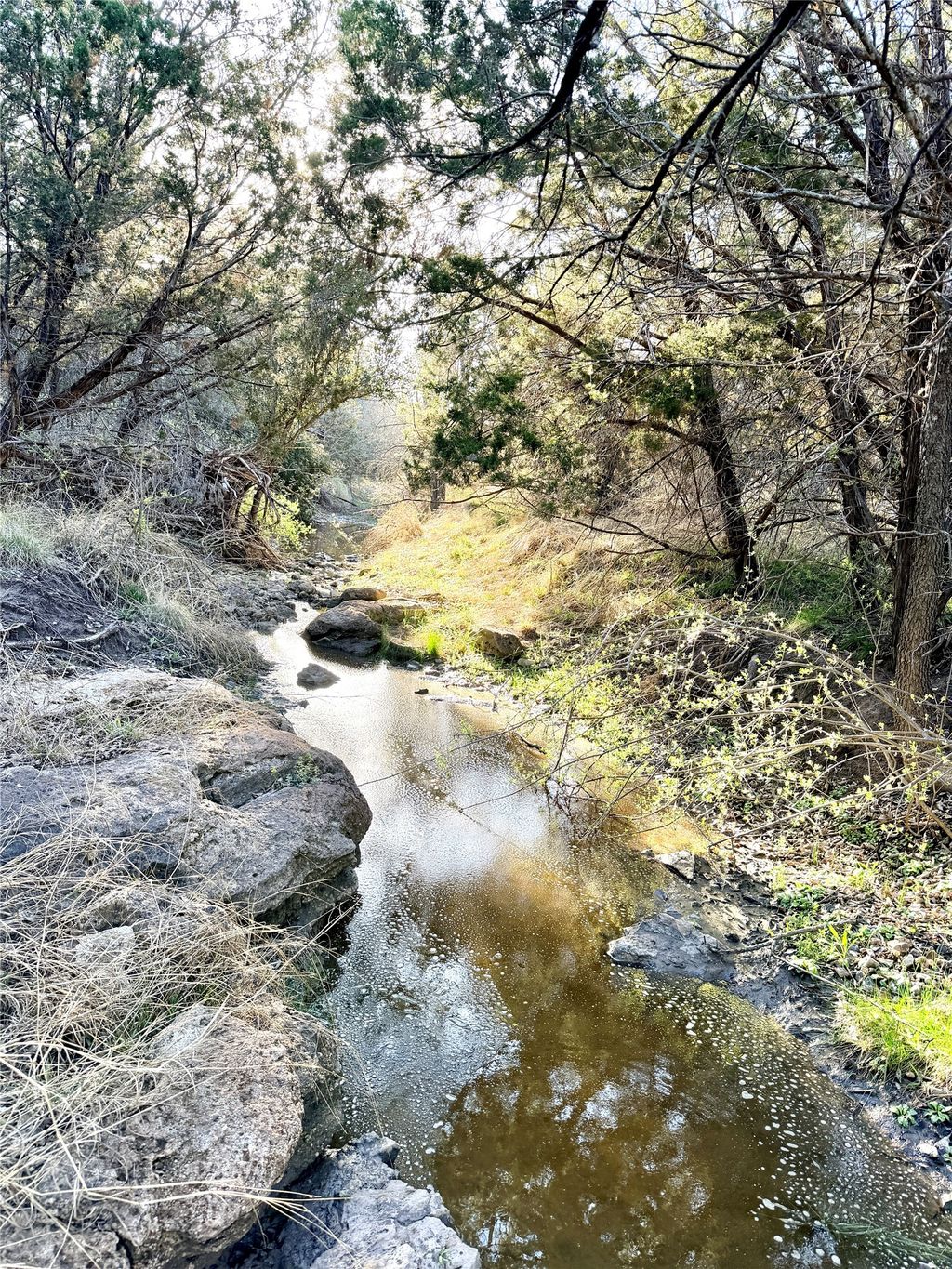 65 Cr 406, Goldthwaite