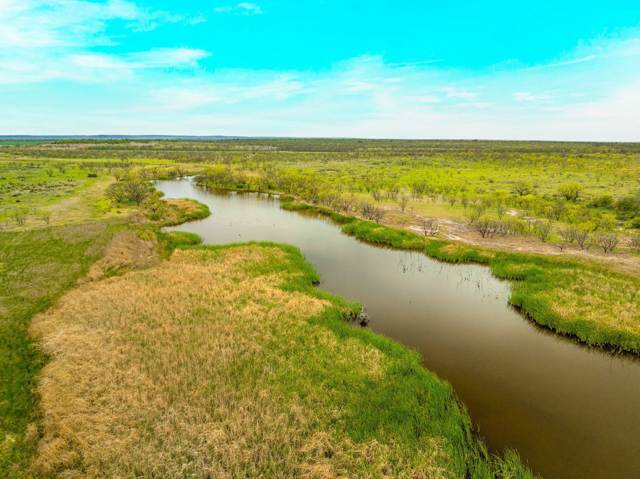 Photo of Listing #3661825