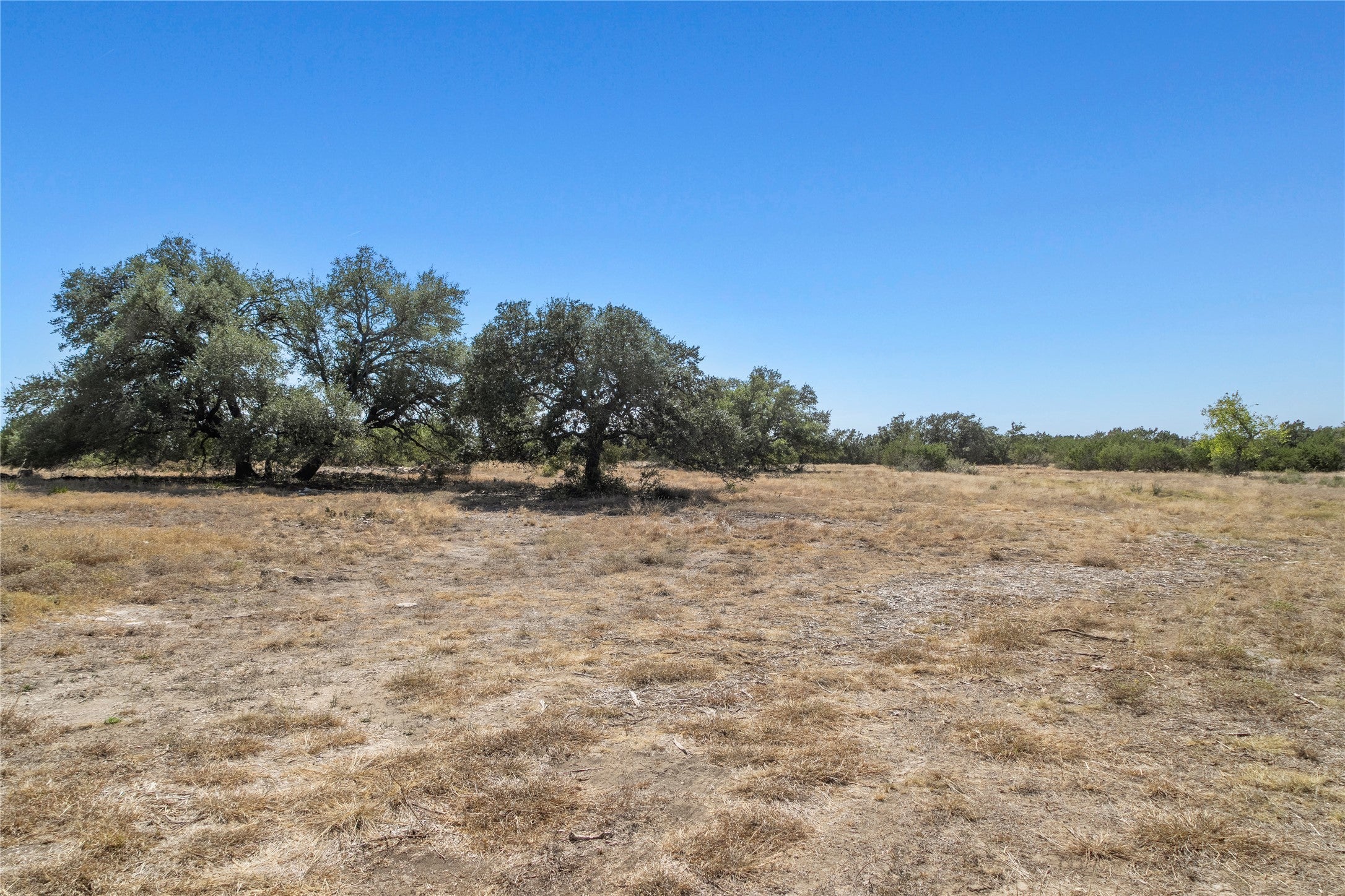 Photo of Listing #7216246