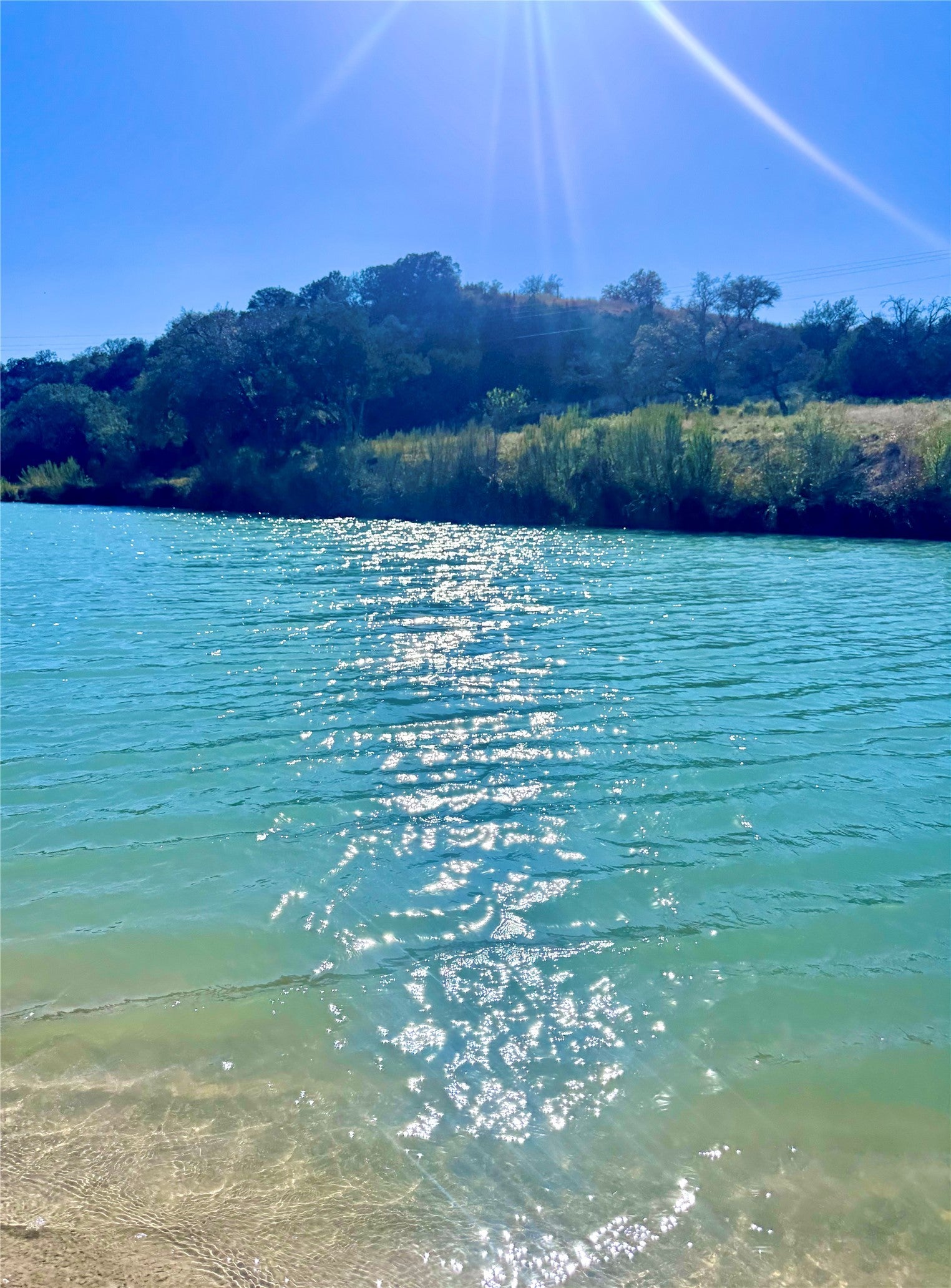 Photo of Listing #7092853