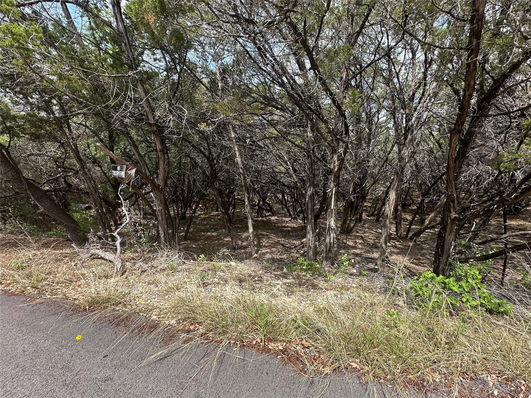 Photo of Listing #5732914