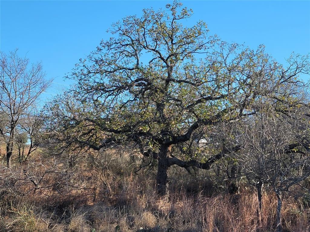 Photo of Listing #6747356