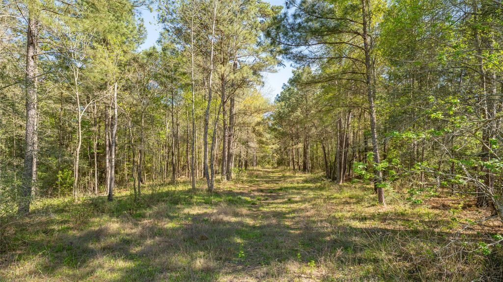 000 Bighorn Road, Huntsville