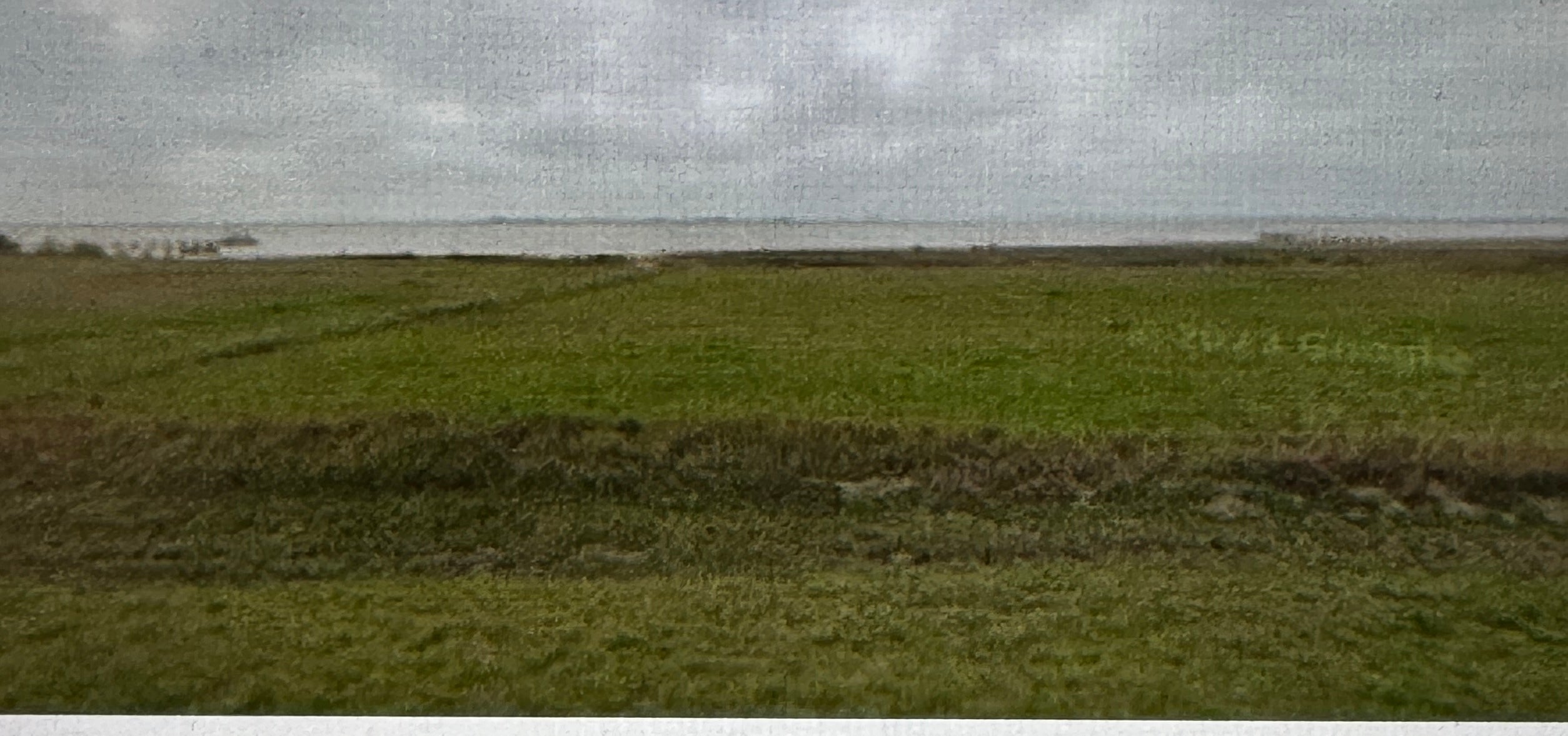 Photo of Listing #5567182