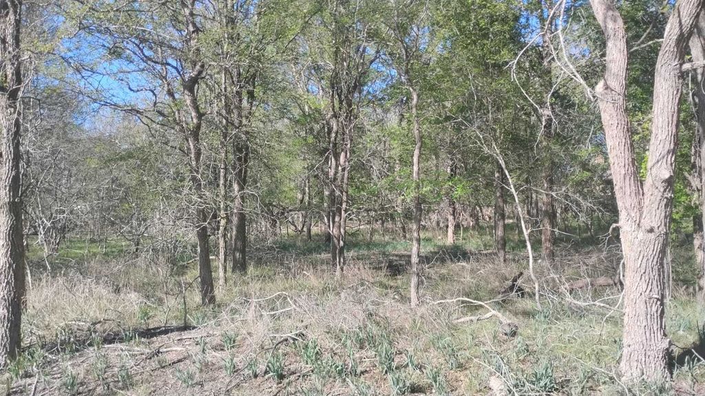 130 W Keomuku Lane, Bastrop