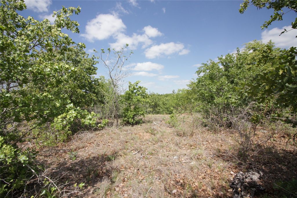 Tbd River Forest Drive, Bastrop