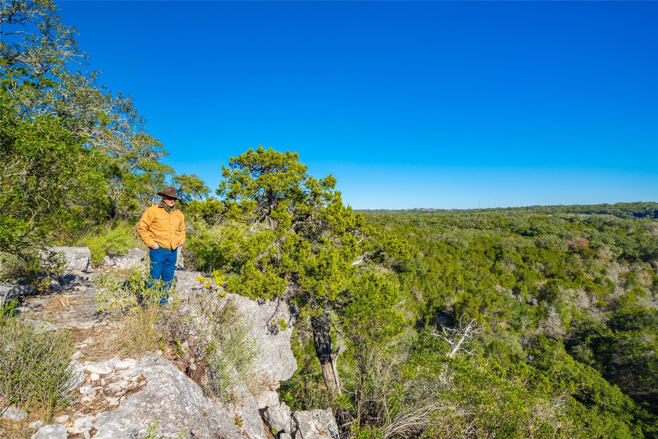 Photo of Listing #6200068