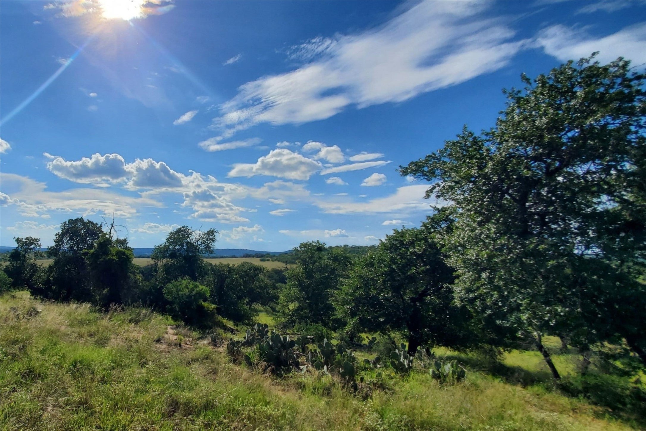 Photo of Listing #7471592