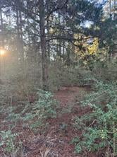 Photo of Listing #9069801