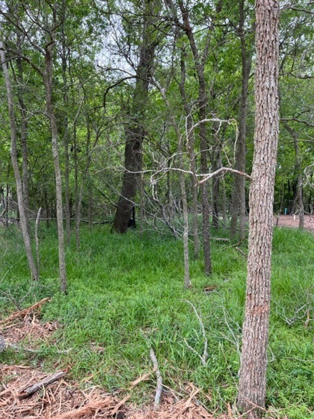 225 Kahana Lane, Bastrop