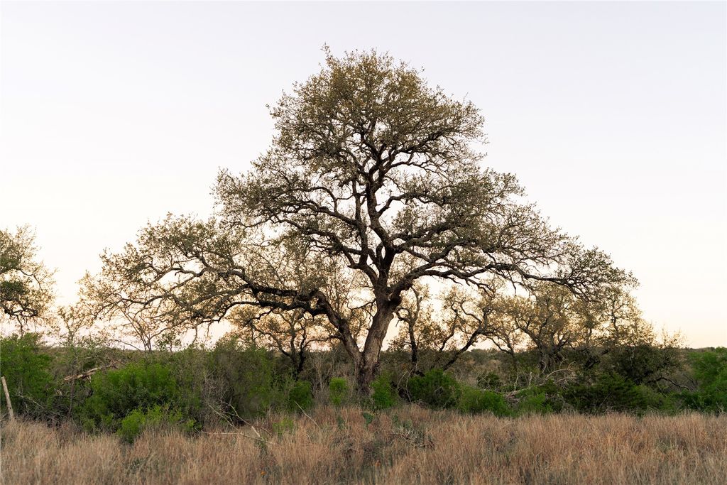 1901 Oak Grove Road, San Marcos