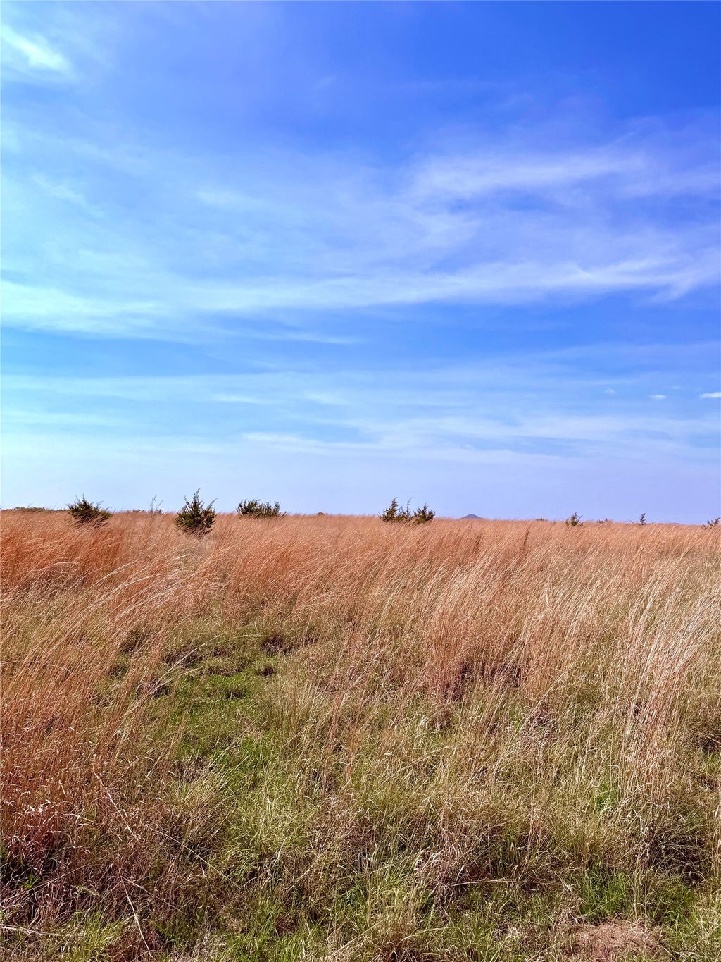39 County Road 330, Goldthwaite