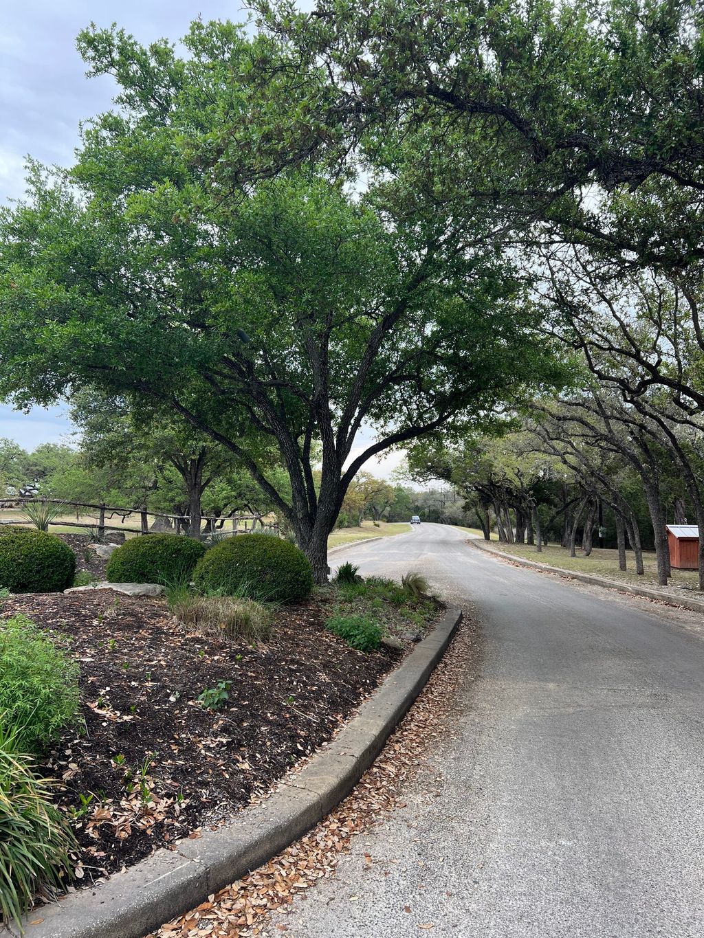 Lot 67 Broken Spoke 5 Acres, Canyon Lake