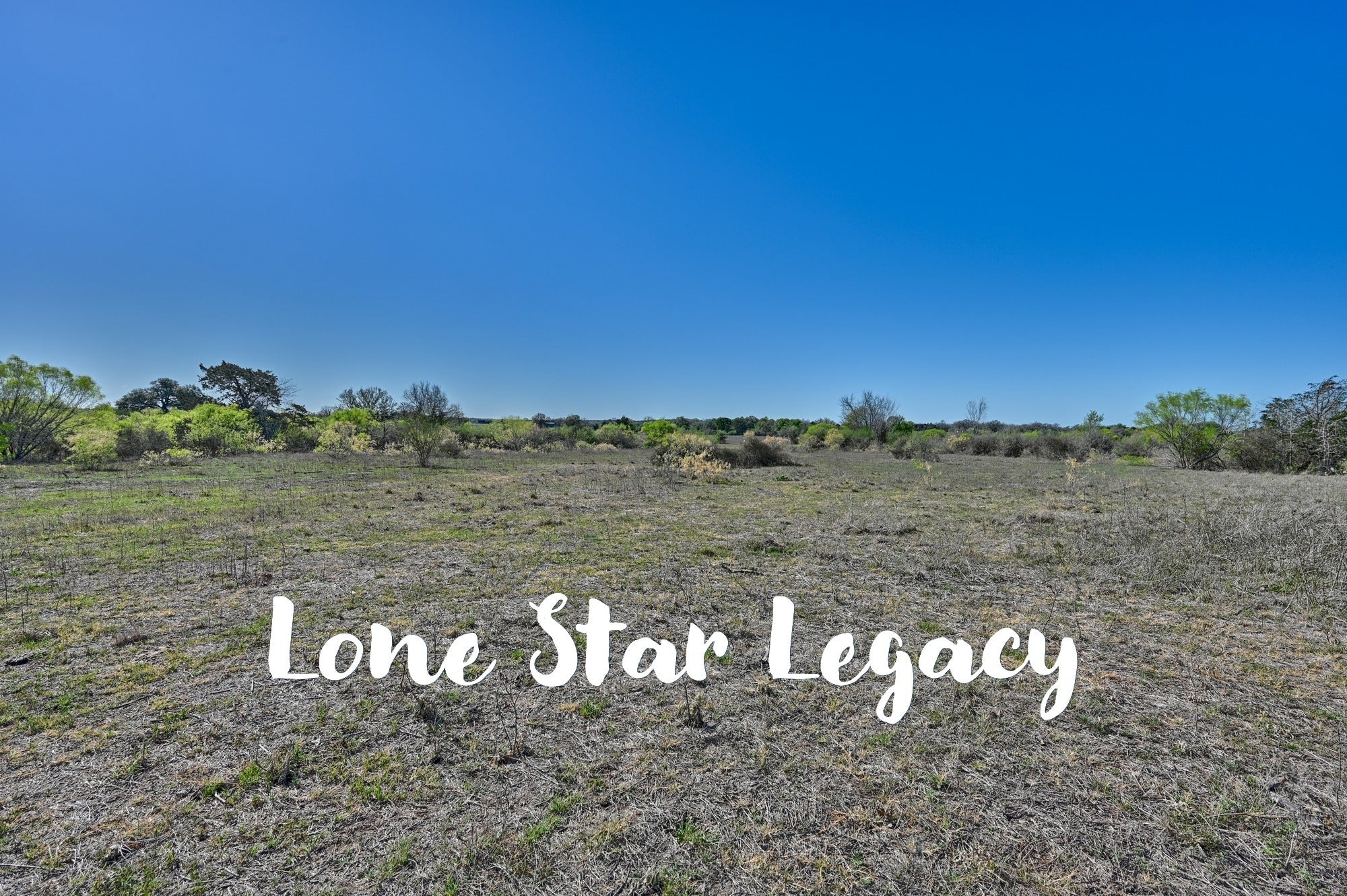 Photo of Listing #6419951