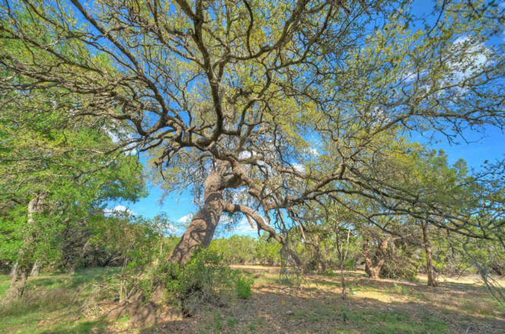 Star Gazer Lot 8 Stargazer Drive, Lampasas