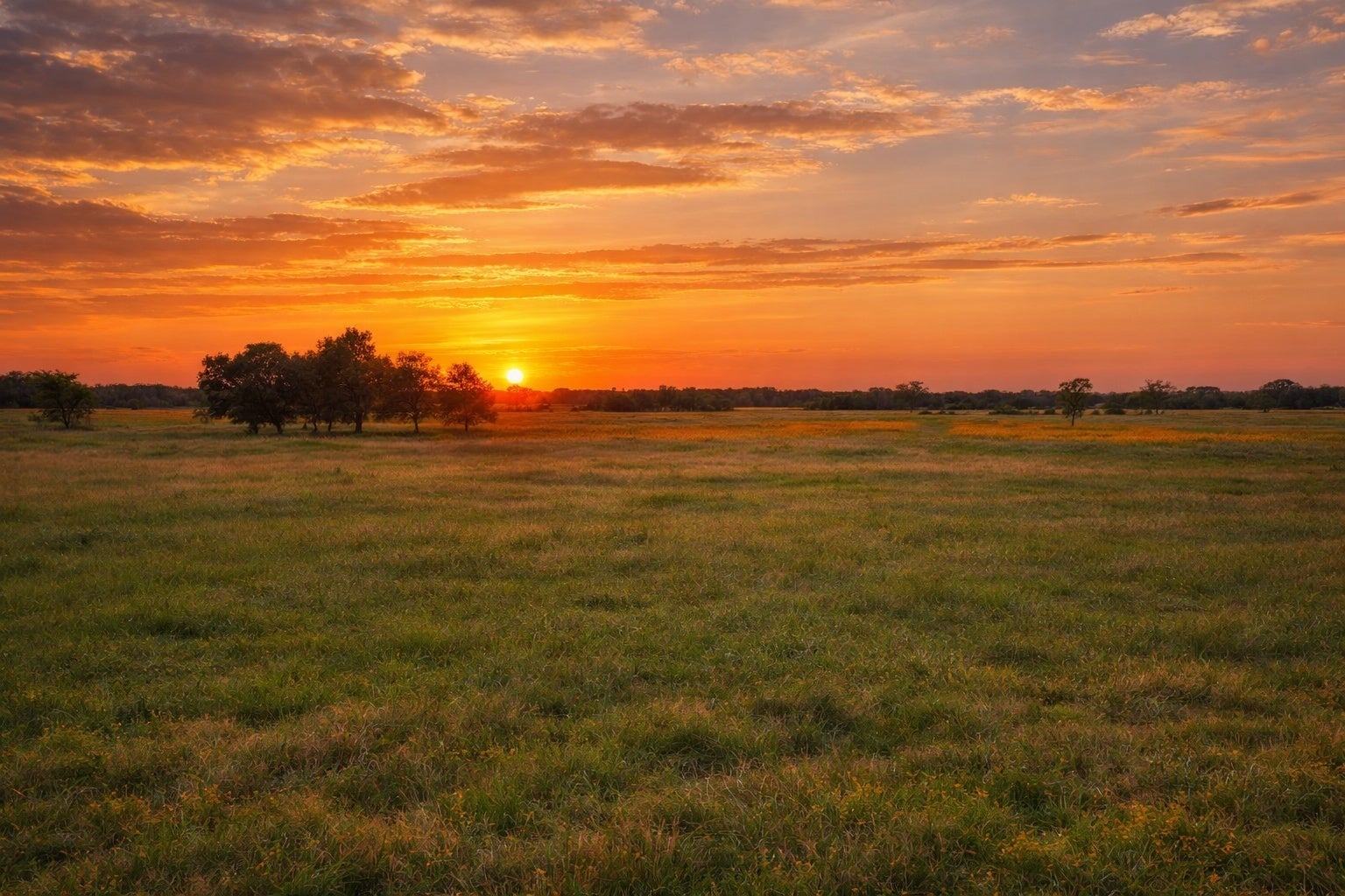 Photo of Listing #5165858