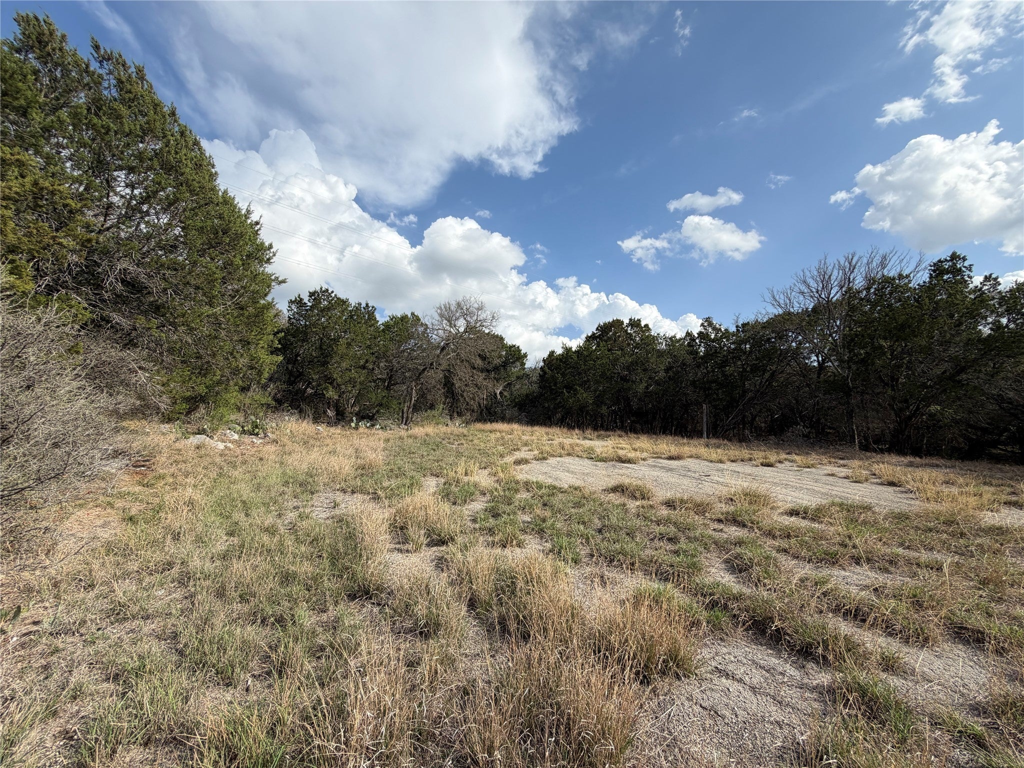 Photo of Listing #8692233