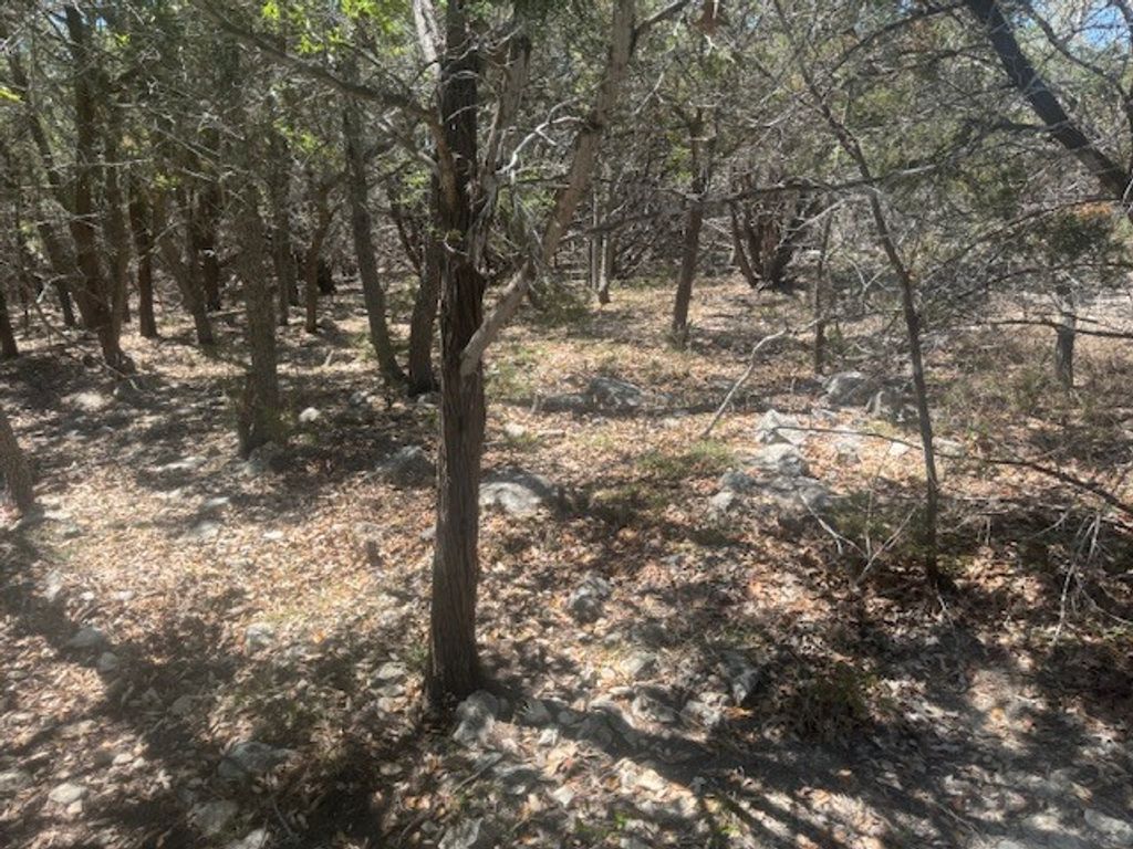 1381 Western Skies Drive, Spring Branch